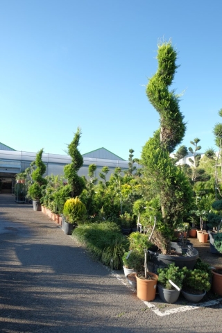 Galerie, Jardins et Plantes de Vonnas