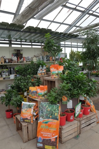 Galerie, Jardins et Plantes de Vonnas