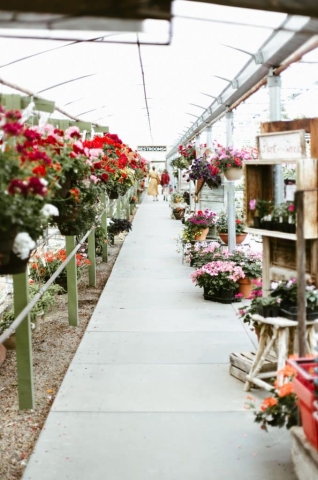 Galerie, Jardins et Plantes de Vonnas