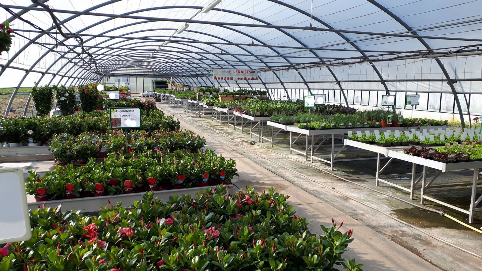 Magasin jardinage Mâcon, Jardins et Plantes de Vonnas