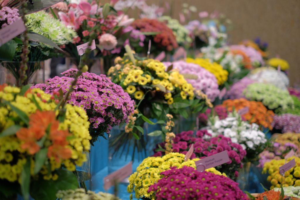 Fleuriste à Vonnas, Jardins et Plantes de Vonnas