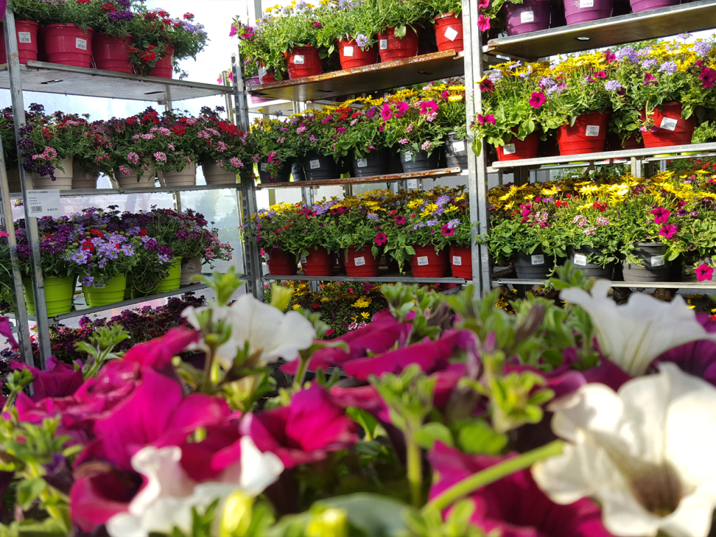 Magasin jardinage Mâcon, Jardins et Plantes de Vonnas